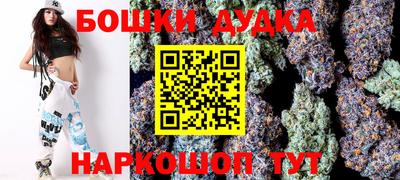 индика Кинель