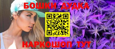 индика Кинель