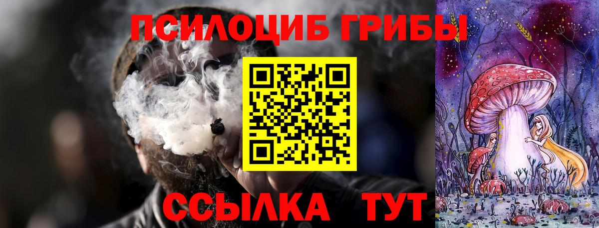 Кохма  Псилоцибиновые грибы Cubensis  Галлюциногенные грибы Magic Shrooms  Вход с VPN 